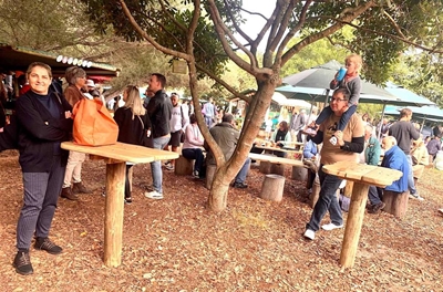 What's on... in Knysna & Plett
