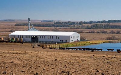 Mixed farming: Key to livestock success for Free State farmer