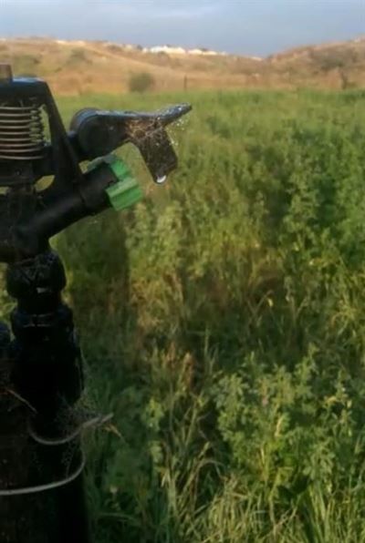 Plaasboer keelvol vir vandale