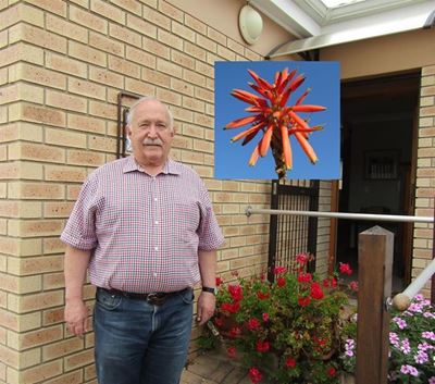 Inwoner met aalwyn vernoeming vereer