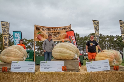 Riversdaller het grootste pampoen