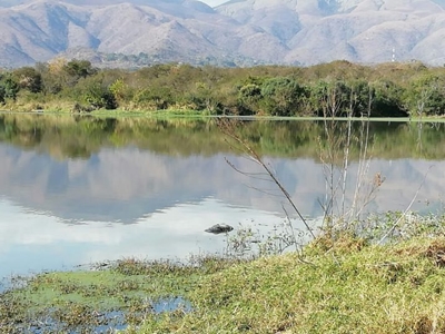 Two men drown while searching for dead hippo