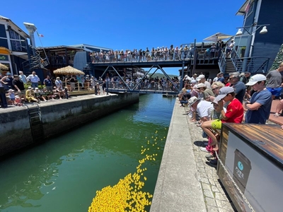 Duck, Duck… Splash!