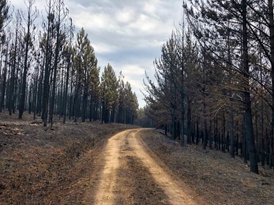 Monday morning fires update