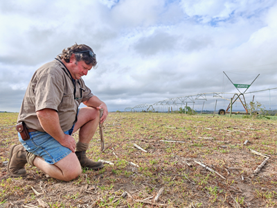 Mosselbaai-boere kniediep in droogte, ernstige nagevolge dreig