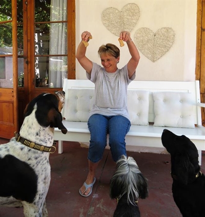 A joyful outcome for lost dogs