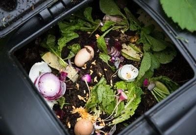 Take part in a household composting project
