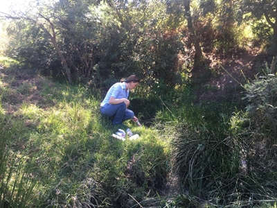 Water quality project forges ahead