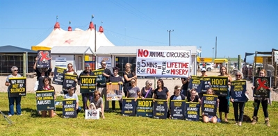 Activists pounce on circus