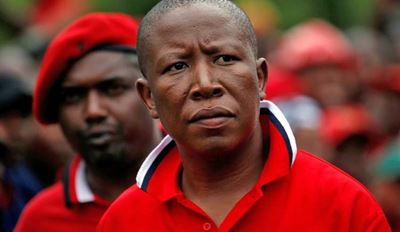 DA lays criminal charges against EFF leaders for ‘stealing’ VBS funds
