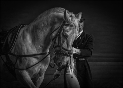 February's best photos