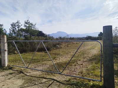 Man wat op kleinhoewe aangeval is in koma 