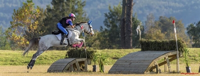 SA horse championships in George
