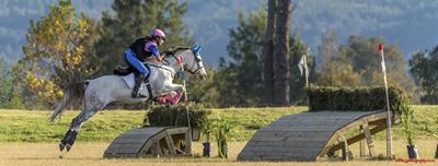 SA horse championships in George
