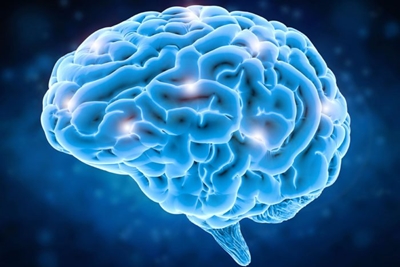 Eat to boost your brain