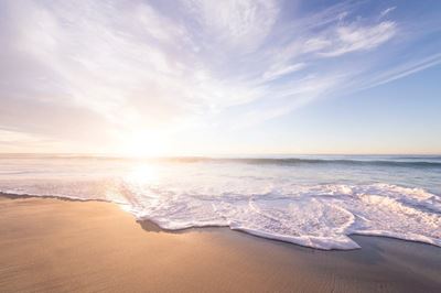 AfriForum loses court bid to reopen beaches