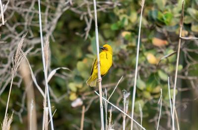 SANparks’ free week is over: Send us your photographs 