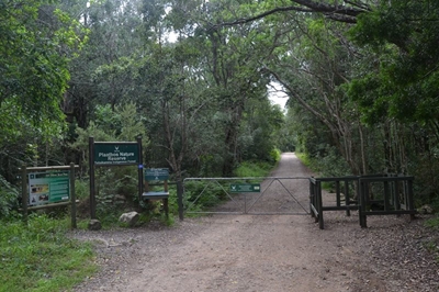 Entry fees for Plaatbos and Goesa forest trails in Tsitsikamma 