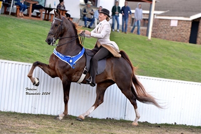 Uniondale-skou vier 60 jaar van tradisie en saamwees