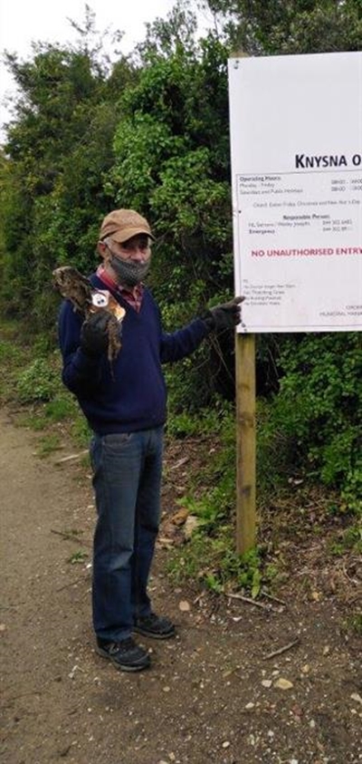 Illegal dumping at Knysna garden refuse disposal site