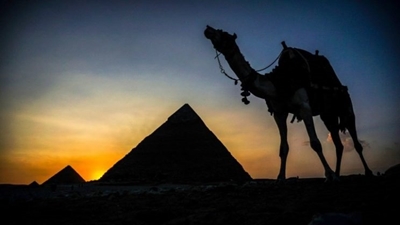 South Africans wounded in Egypt blast