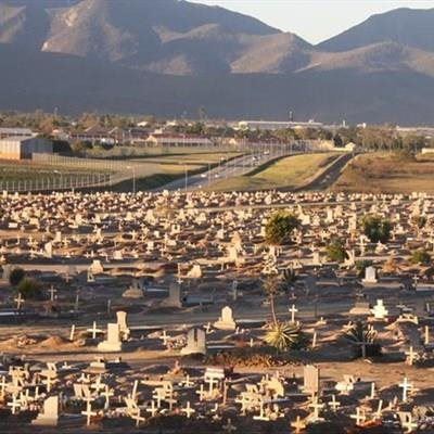 Handling of Covid-19 bodies a tough task for undertakers