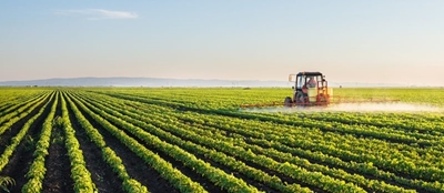 Community accuses farmer of disrespect, sets farmlands alight