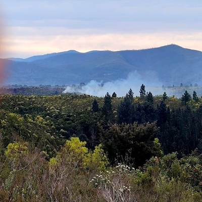 Wildfire in Bitou contained