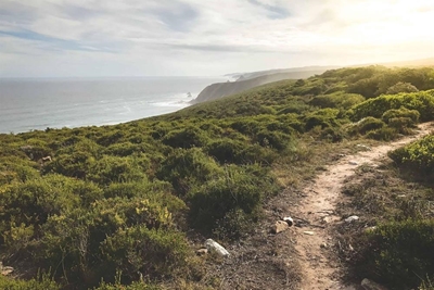 New app to highlight Plett trails