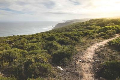 New app to highlight Plett trails