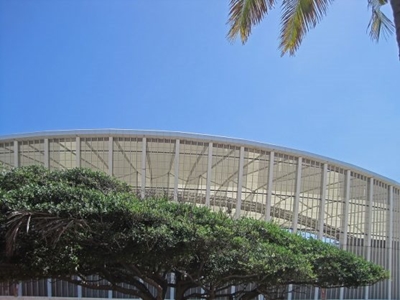 Durban’s urban forest ranked 5th in the world