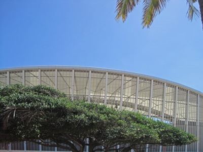 Durban’s urban forest ranked 5th in the world