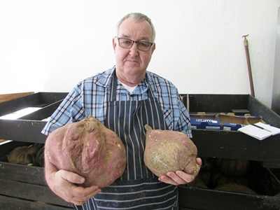 Uit met pampoen, in met patats