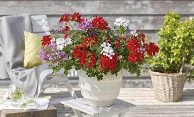 How to use colour to brighten up your home this winter