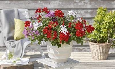 How to use colour to brighten up your home this winter
