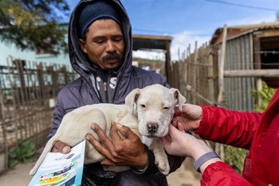 Samaritans sterilise 450 pets in Uniondale