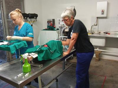 Eerste Spay-a-thon-2018