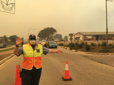 More than 65 000 hectares destroyed