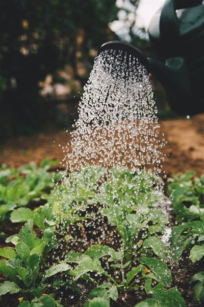 Urgent: Reduce water usage