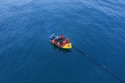 High cost to wildlife from shark nets protecting SA beaches