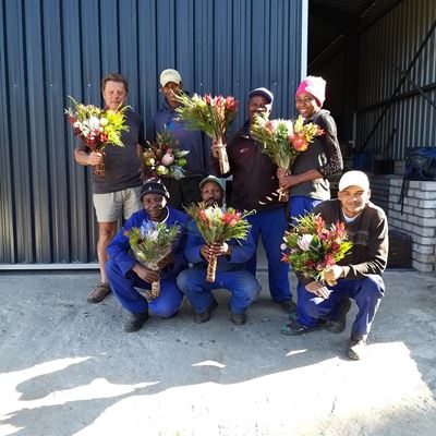 Proteas bring vreugde