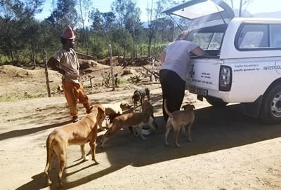 Honger kinders eet hondebeskuitjies