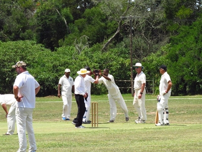 Cricket crazy and pitch proud