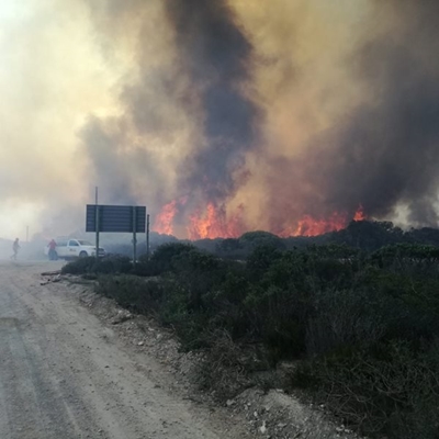 Vermaaklikheid brand geblus
