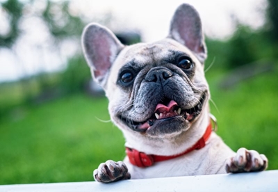 Take note: New SPCA hours