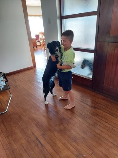 Beloning vir vermiste hond aangebied
