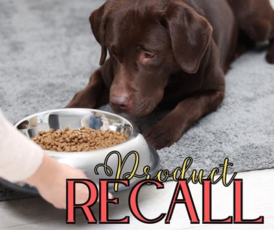 Stop using these pet foods immediately: Major pet food brands pulled from shelves in SA
