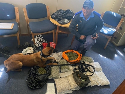 Municipality's response and K9 units tackle multiple tasks