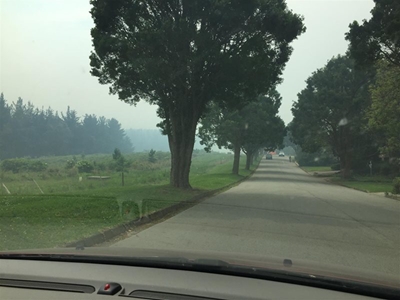 Update on Outeniqua Fires 
