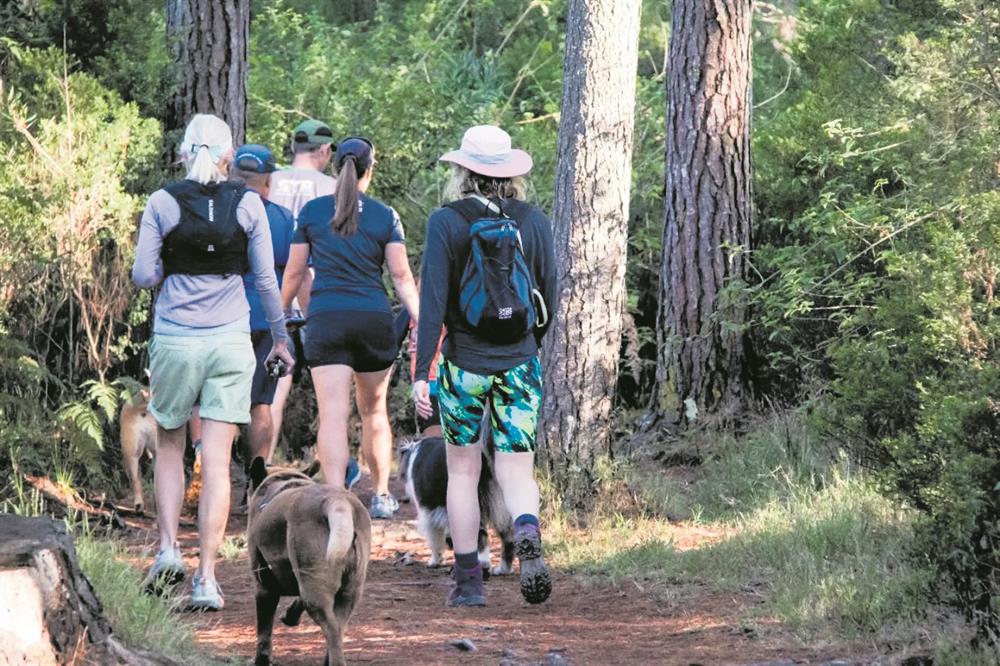 George Trails aims to make George the trail capital of South Africa